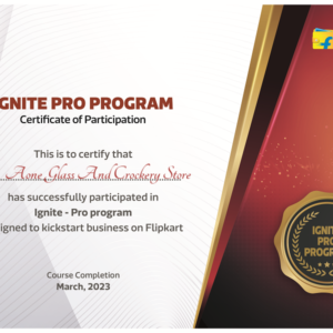 Flipkart Pro Certificate